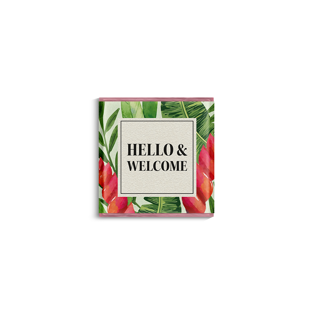 HELLO & WELCOME - 4,5g Minischokolade